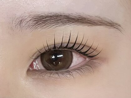 ノーチェ(noce)の写真