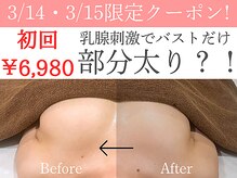 ナリッシュ バスト 六本木(Nouriche Bust)