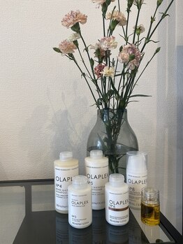 パームココ(palmcoco)/OLAPLEX取扱店#北参道