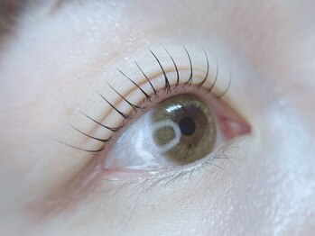 ラココ(La,coco)/まつげパーマ上