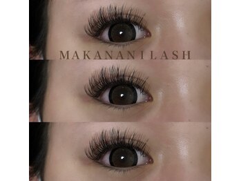 マカナニラッシュ(MAKANANI LASH)/【モデル】ダブルフラット120束