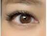 【W UP LASH 100束 】9500円