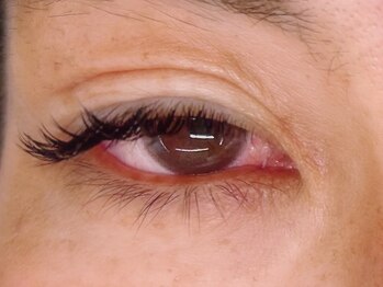 インザピンクリリー(in the pink LILY)/バインドロック120束