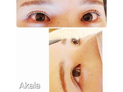 アカラ(Akala)の写真