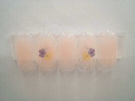 季節の定額6900円コ―ス