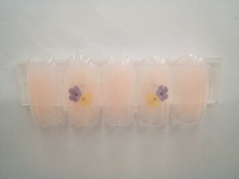 ティーエヌ TSUTAYABOOKSTORE藤の木店/季節の定額6900円コ―ス