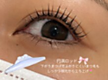 ソル(Sol)/立ち上げデザイン