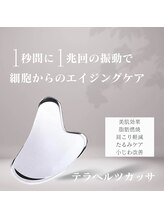 サピュイエ(S'appuyer)/テラヘルツカッサ