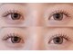 カクテル(COCKTAIL)の写真/≪自まつげが少ない方もボリュームアップで華やか目元に★≫信頼の高技術でモチの良さバツグン!!