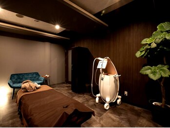 タレイア エステティック 新潟(THALEIA esthetic Niigata)/広々とした贅沢個室空間