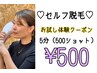 【男女OK★セルフ脱毛】体験クーポン5分（500ショット） ¥500　
