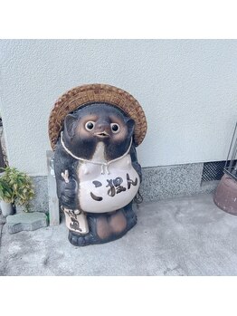 パピコアイラッシュ(papico_eyelash)/看板たぬき