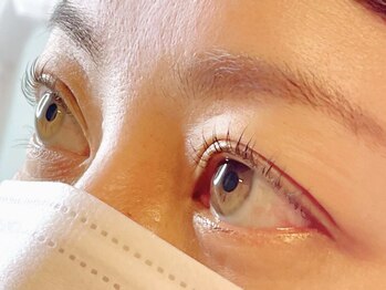 ワイドット(y.)/まつ毛パーマ