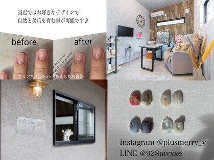 プラスメリー(+Merry)の写真