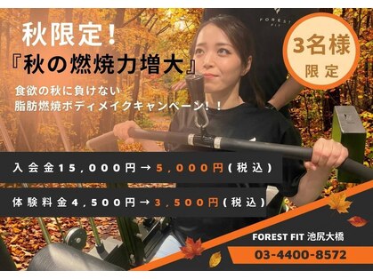 フォレストフィット 池尻大橋店(FOREST FIT)の写真