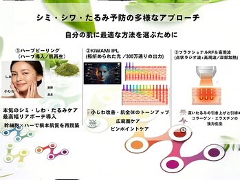 リセル 月島(ReCeLL)の写真/秋のケアで差がつく！蓄積シミ＆乾燥シワ予防★ハーブピーリング・IPL・RFフラクショナル・最適ケア
