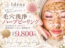 イデナ(Idena)