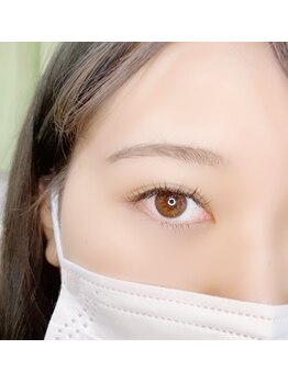 ルピナス(Lupinus)/LEDフラットラッシュ120本