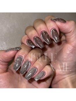 ジゼルネイル(Gisele Nail)/フラッシュ×マグネット