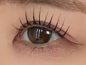 ヴィム ラッシュ(vim Lash)の写真/《newopen》存在感のある可愛さに◇ぱっちりパリジェンヌラッシュリフト◇根元から立ち上げ"魅せる"お目元*