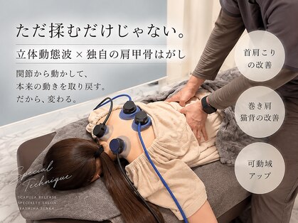 癒しま専科の写真