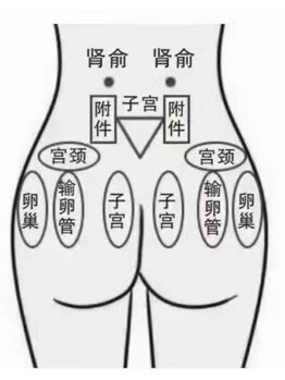 ドクタースタイル(Dr.style)/スッキリ感が違う☆彡