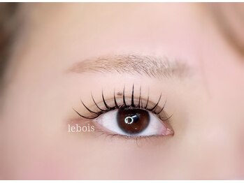 ルボイス(le bois)/フラット　ミックス　120本