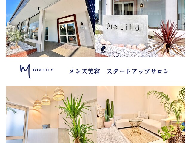 M DIALILY.【エムディアリリー】