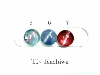 ティエヌ 柏店/マグネットカラー見本2