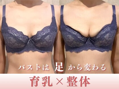 メデル(MEDEL)の写真