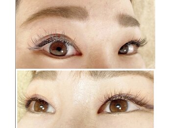 シマー(shimmer)/ブラウン派?ブラック派?