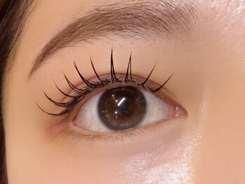 バタフライ 川崎店(Butterfly)/フラットラッシュ