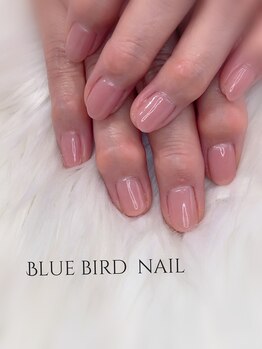 ブルーバードネイル(Blue bird nail)/ワンカラーネイル