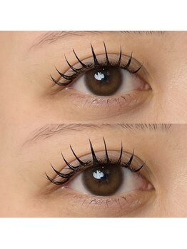 ユグリーフ(YugLEAF)/フラットラッシュ140本