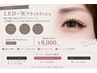 【LED】圧倒的モチ◎Wフラットラッシュ120束(240本)まで♪取れやすい方に