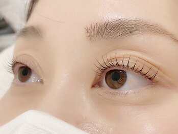 キャメル(Camel)/パリジェンヌラッシュリフト