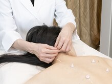 マグノリア/鍼灸コース