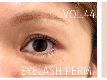 トミー(Tommy)/まつ毛パーマ