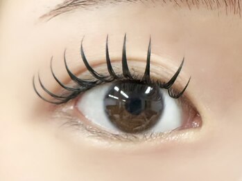 リブレ(Libre)/ダブルフラット80束