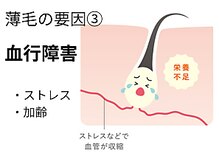 サロン ド エステティック ルチア 東京店/栄養不足