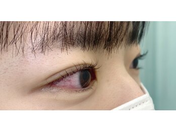 シスタス(Cistus)/