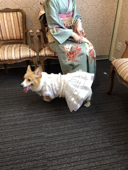 サロンドフィル(Salon de fil)/リングドッグ