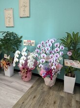 エール(aile)/北中城村セルフホワイトニング