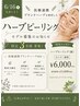 【メンズモデル募集】肌体力up♪剥離なしハーブピーリング¥11000→¥6000
