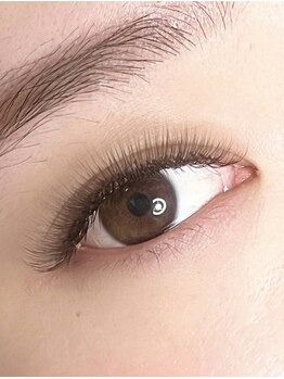 ディッシュビューティー(dish beauty)/ボリュームラッシュ