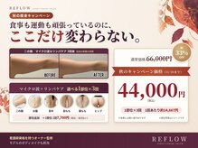 リフロー(REFLOW)