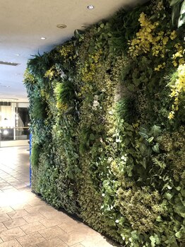 ルナレーナ化粧品 西鉄グランドホテル店/エレベーター前には緑のオブジェ