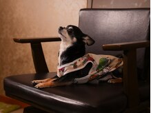 Rの雰囲気(皆様のご来店お待ちしております♪)