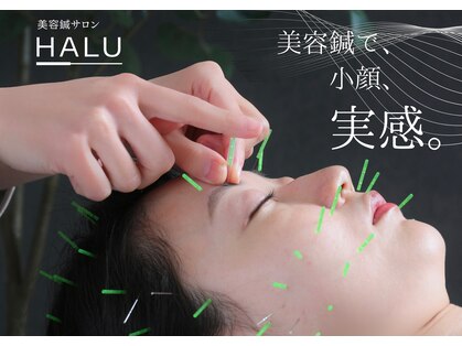 ハル(HALU)の写真