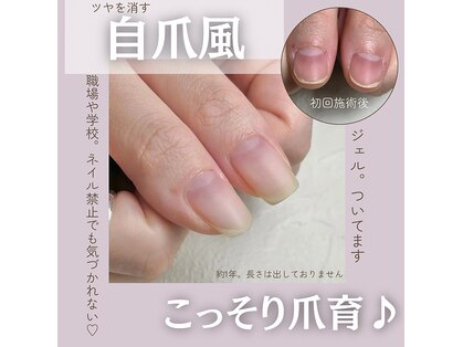 イズム(Izm)の写真